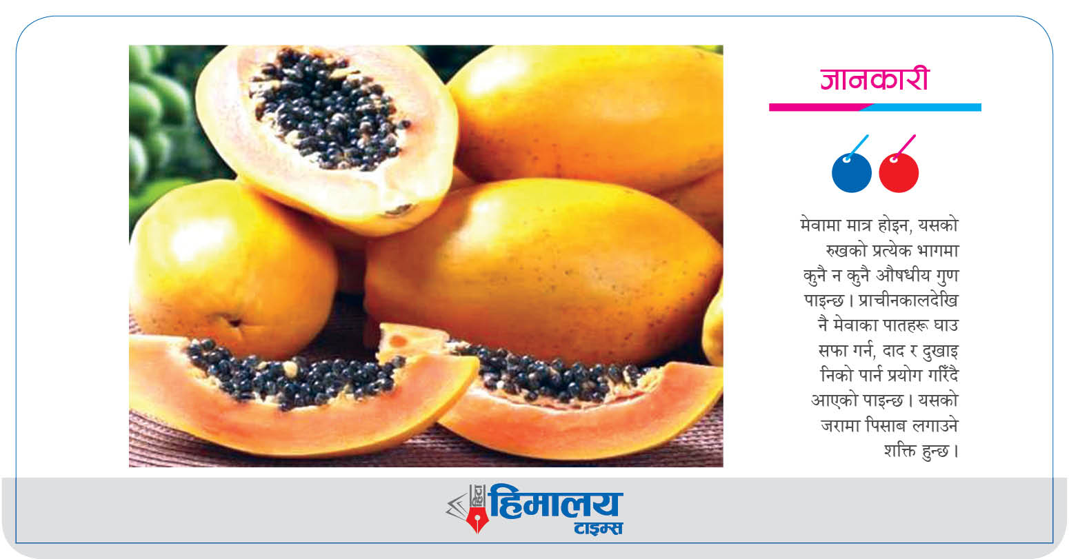 मेवाका फाइदै फाइदा