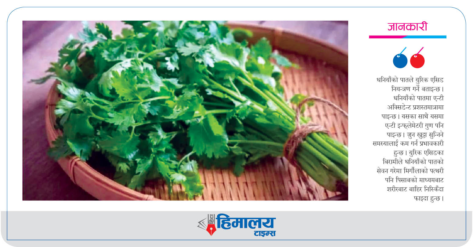 धनियाँका फाइदै फाइदा