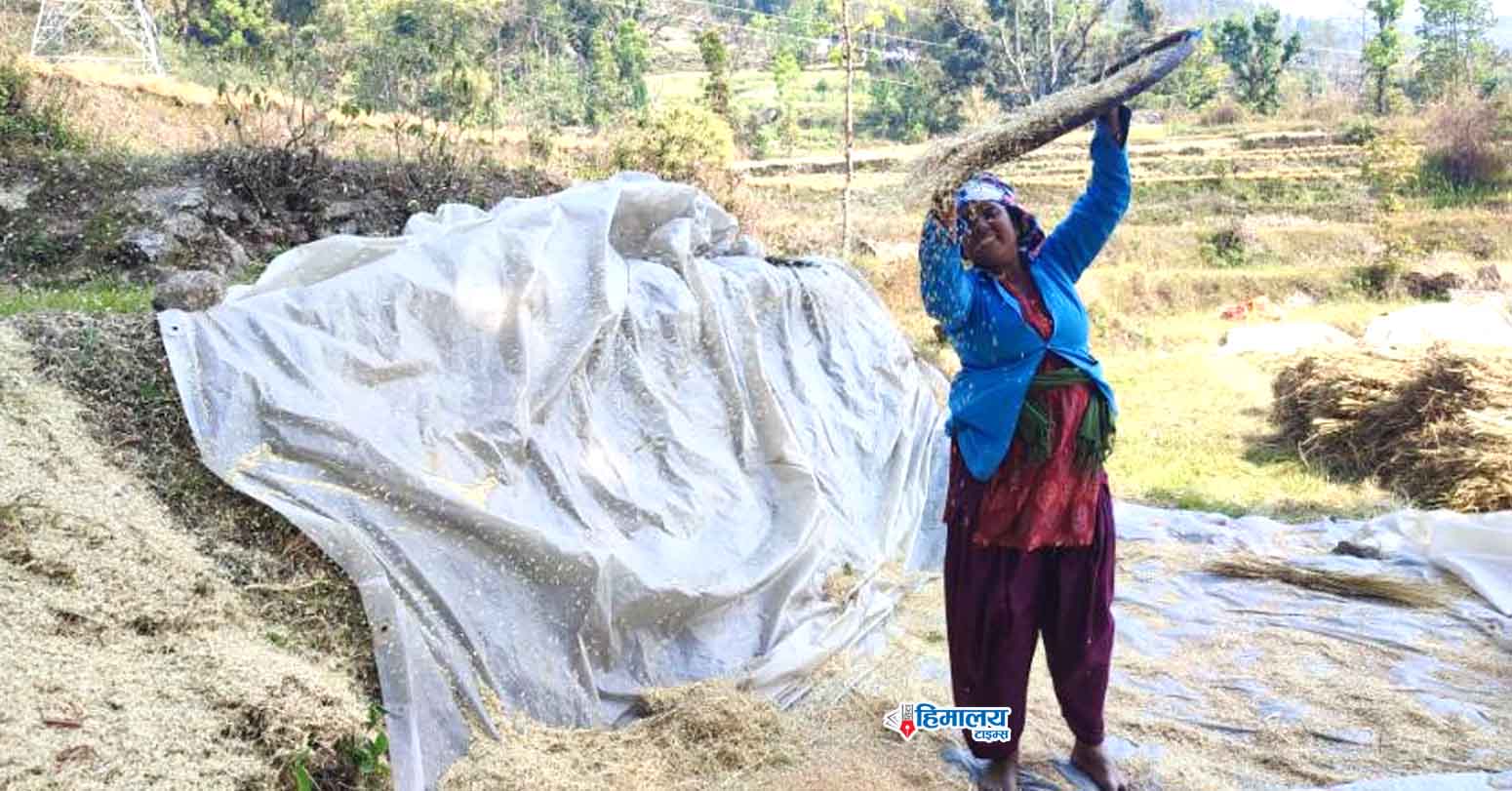 अन्नबाली…
