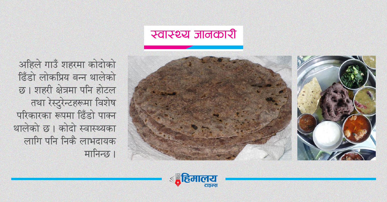 स्वास्थ्यका लागि बहुगुणी कोदो