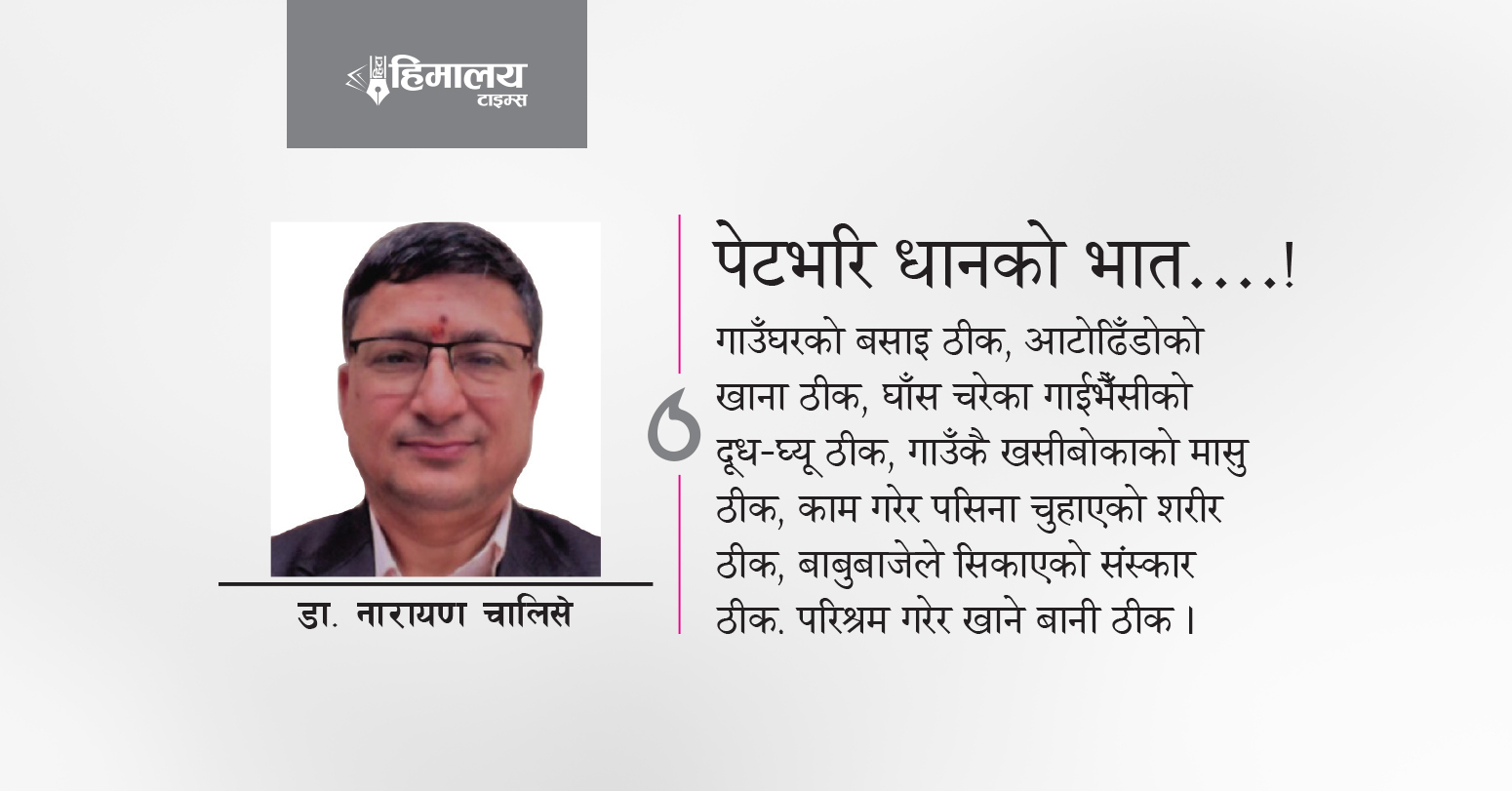 पेटभरि धानको भात….!