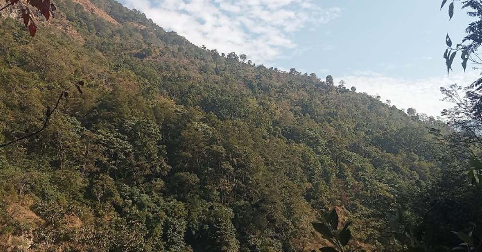 फुल्चोकी जंगलमा बाटो बिराएका १३ जनाको खोजी कार्य जारी