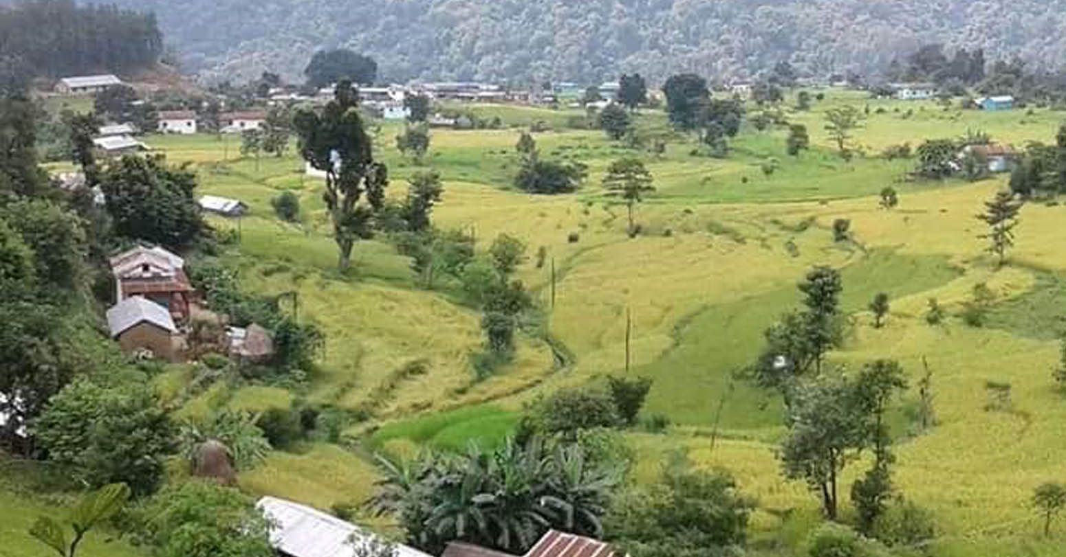 पाल्पाको माटोमा बढ्यो अम्लीय पदार्थ, खस्कियो उर्वराशक्ति