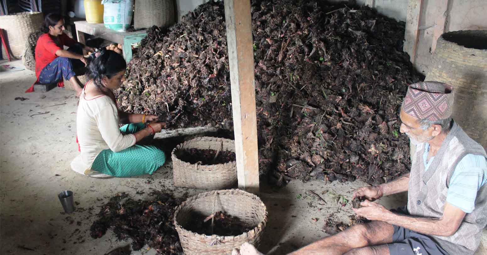 पन्ध्र अर्बको चिया, अलैची र अदुवा निर्यात