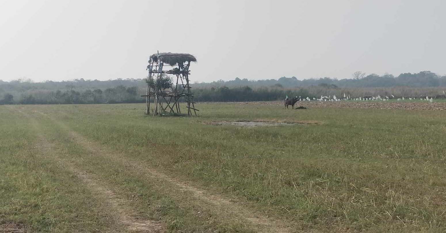 छेकबार लगाएपछि मानव–वन्यजन्तु द्वन्द्व घट्यो