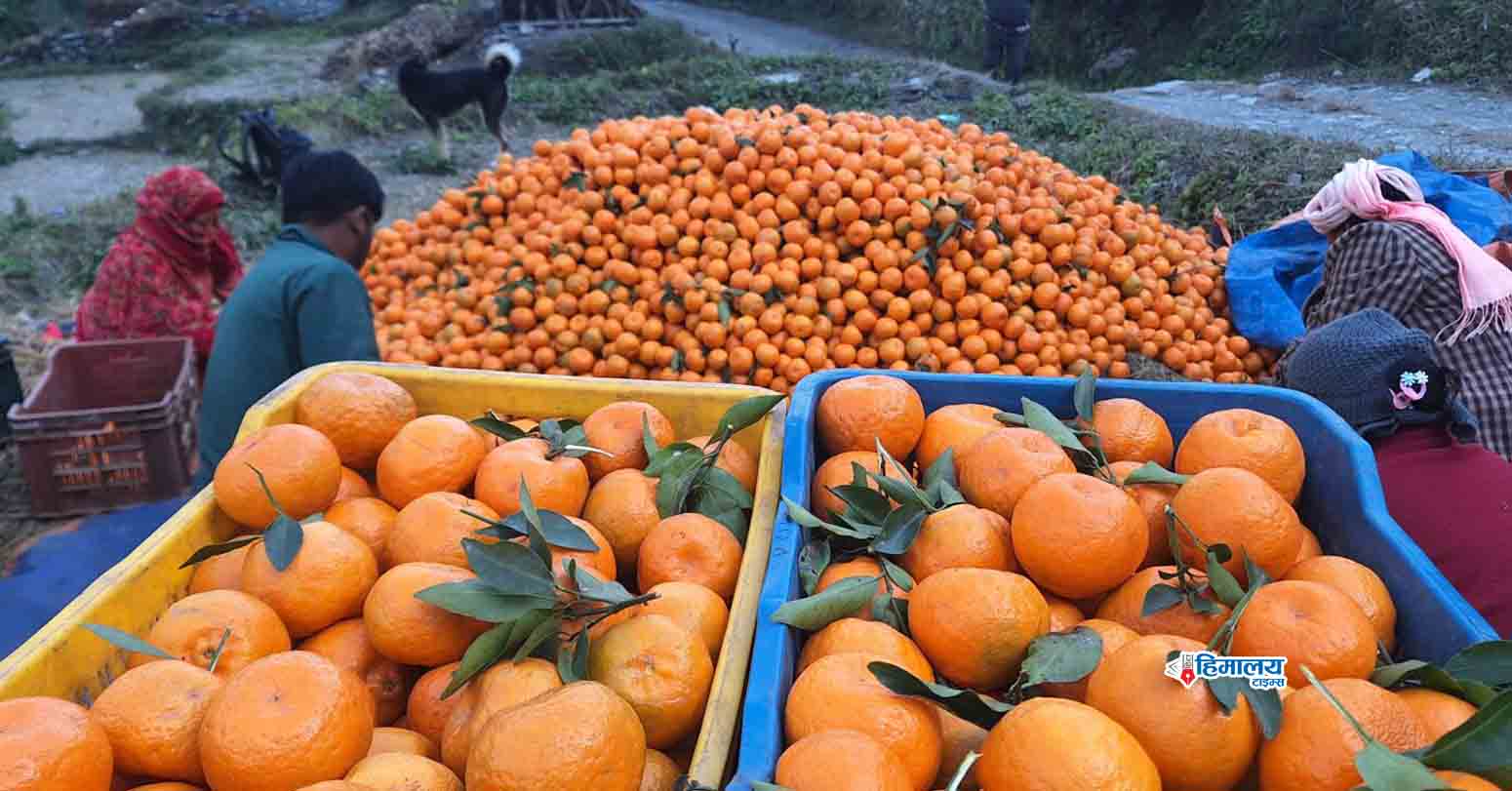 रामेछापको&hellip;