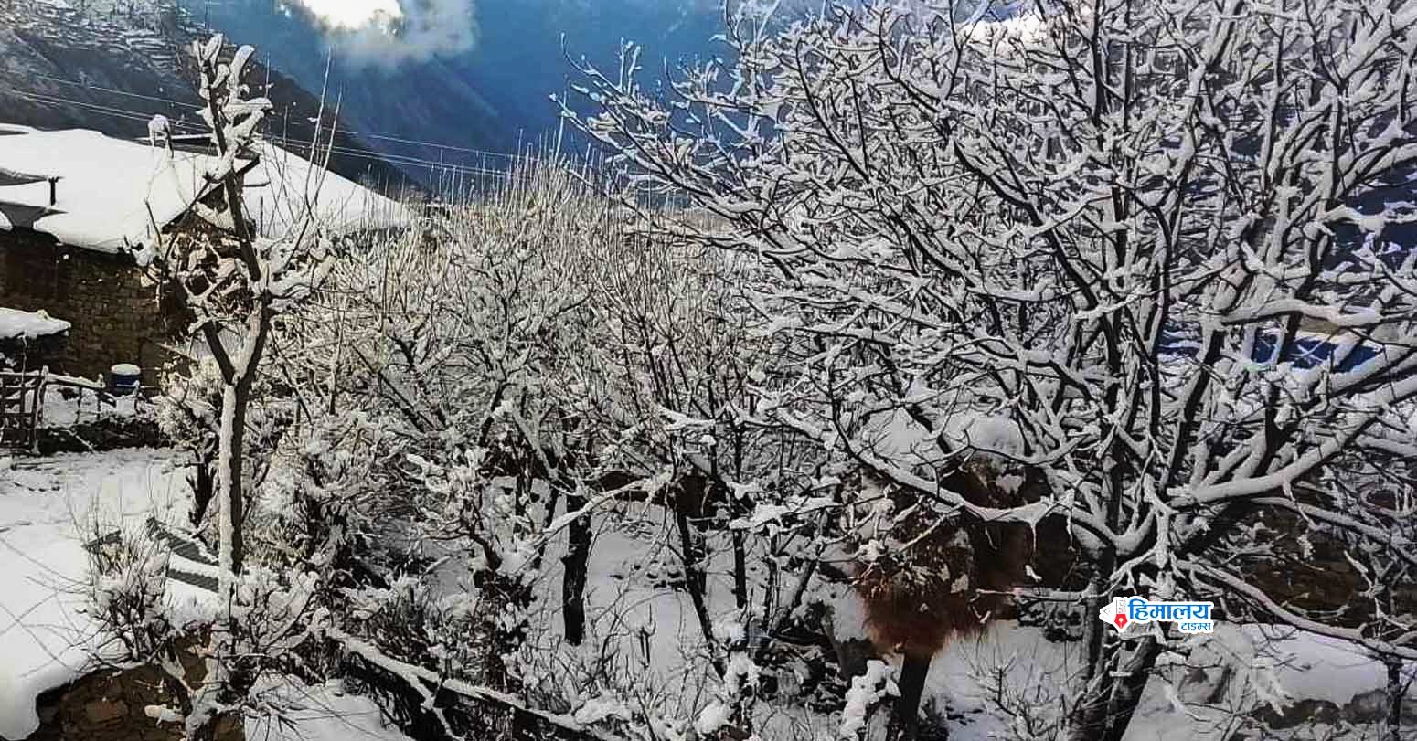 हुम्लामा…