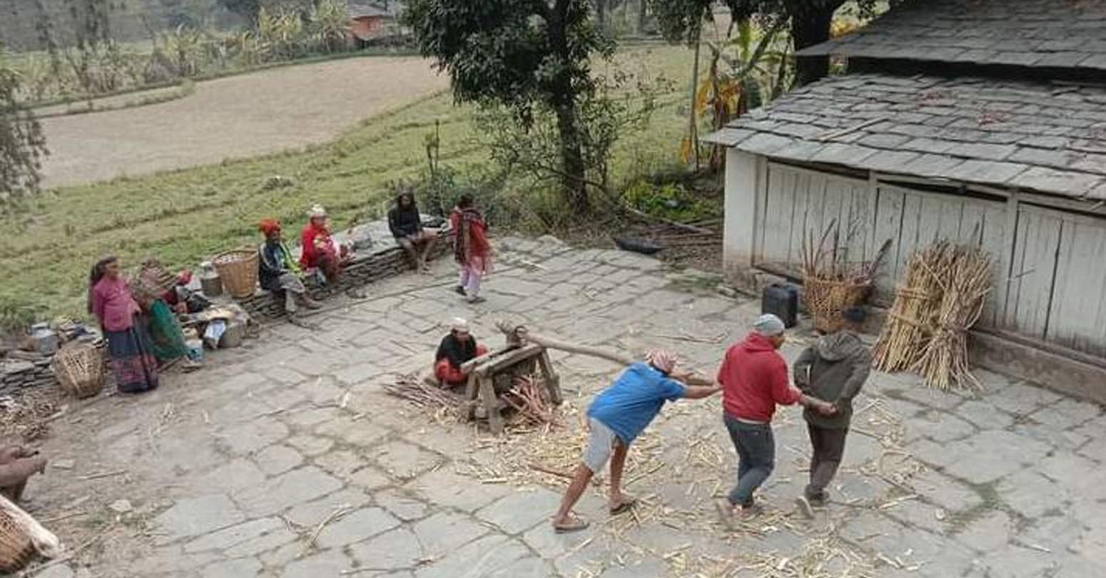 उखु, अमिलो र तोरी पेल्ने परम्परागत ‘कोल’ लोप हुँदै