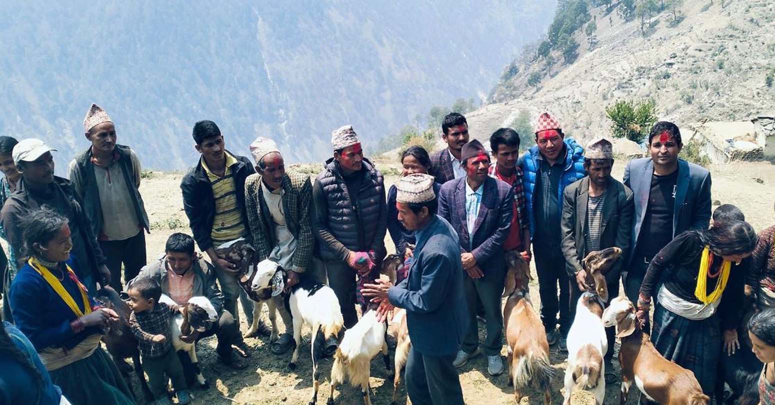 गरिब विपन्न महिलालाई उन्नत जातका बाख्रा वितरण