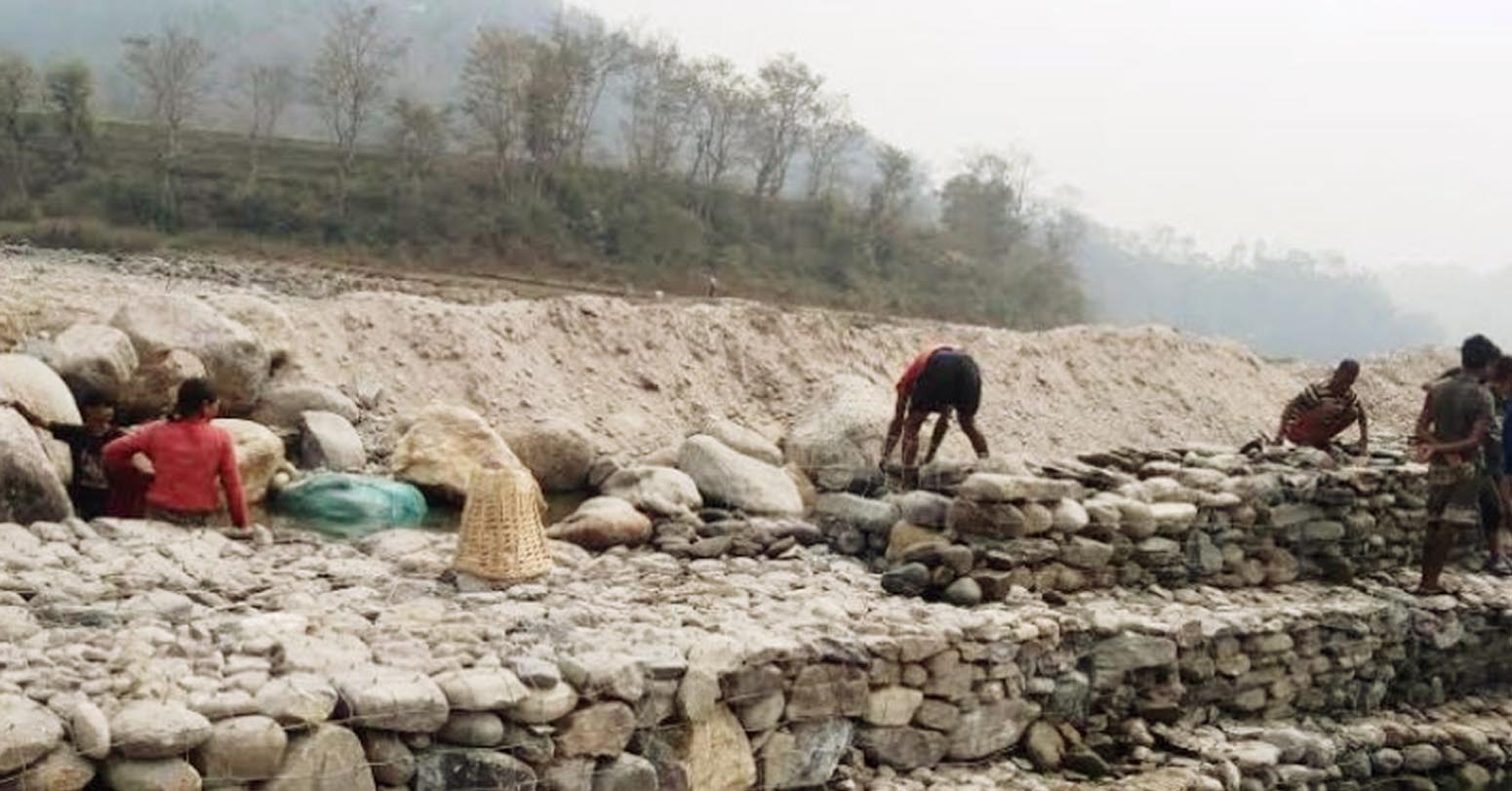 कैलालीका सात नदीमा तटबन्ध निर्माण सुरु