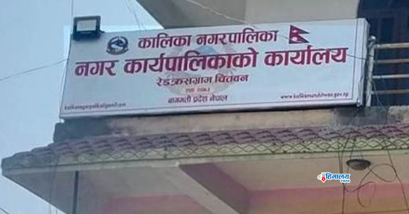 एकल महिलालाई आत्मनिर्भर बनाउने पालिकाको प्रयास