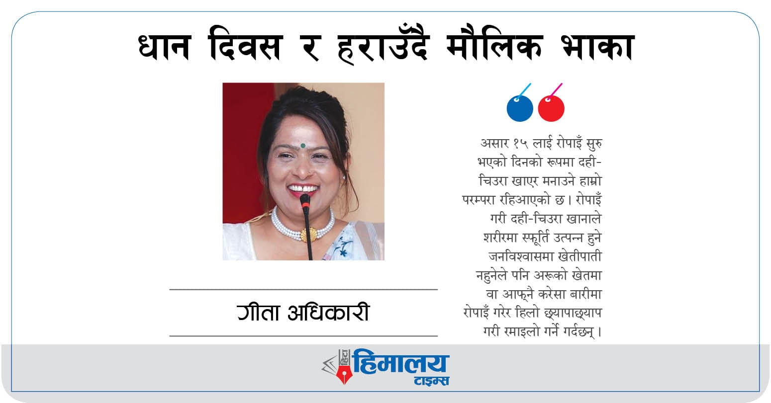धान दिवस र हराउँदै मौलिक भाका