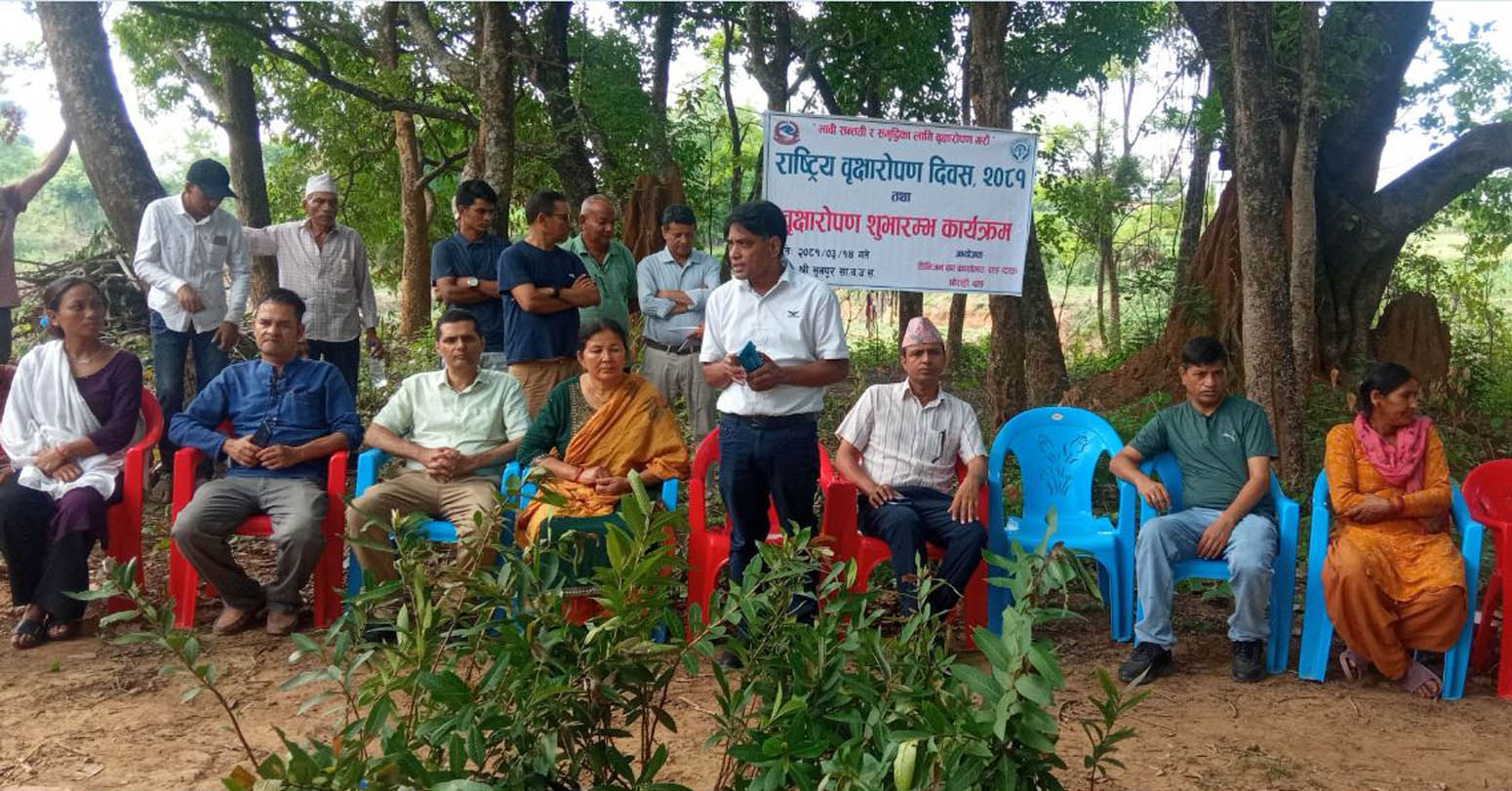 दाङमा पौने तीन लाख बिरुवा तयार, निःशुल्क वितरण गरिने