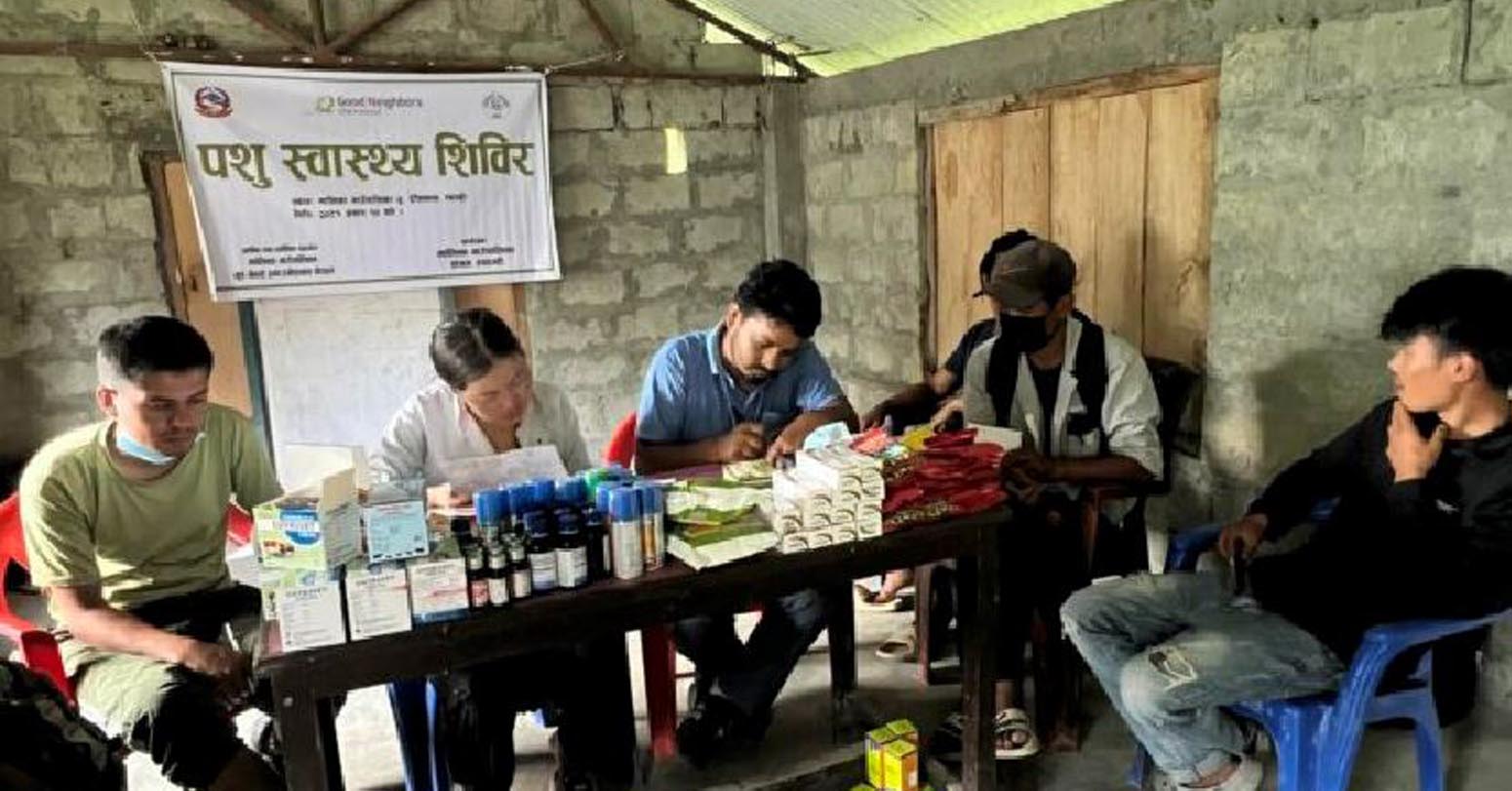 म्याग्दीको देविस्थानमा पशु स्वास्थ्य शिविर : तीन हजार पशुचौपायाको उपचार