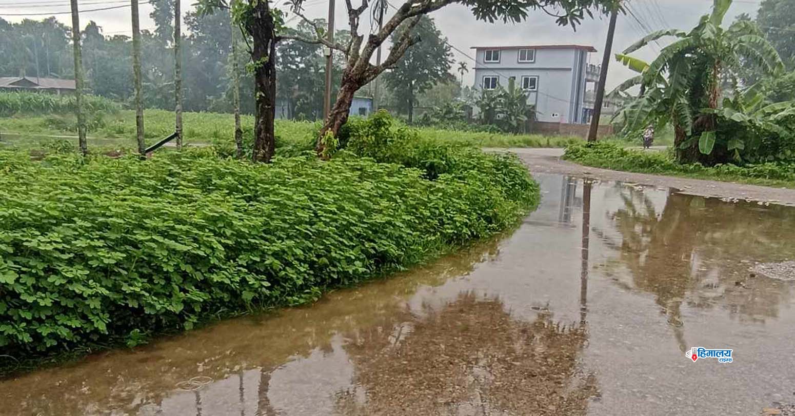 झापामा भारी वर्षा, सर्तक रहन आग्रह