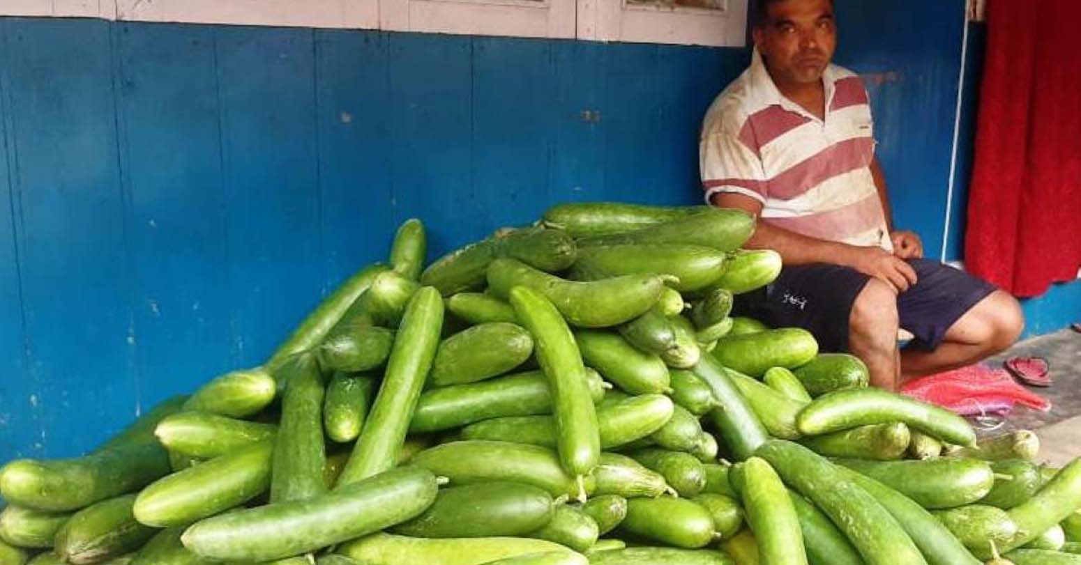 kakro kheti