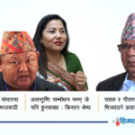 एकीकृत समाजवादीको विवाद उत्कर्षमा