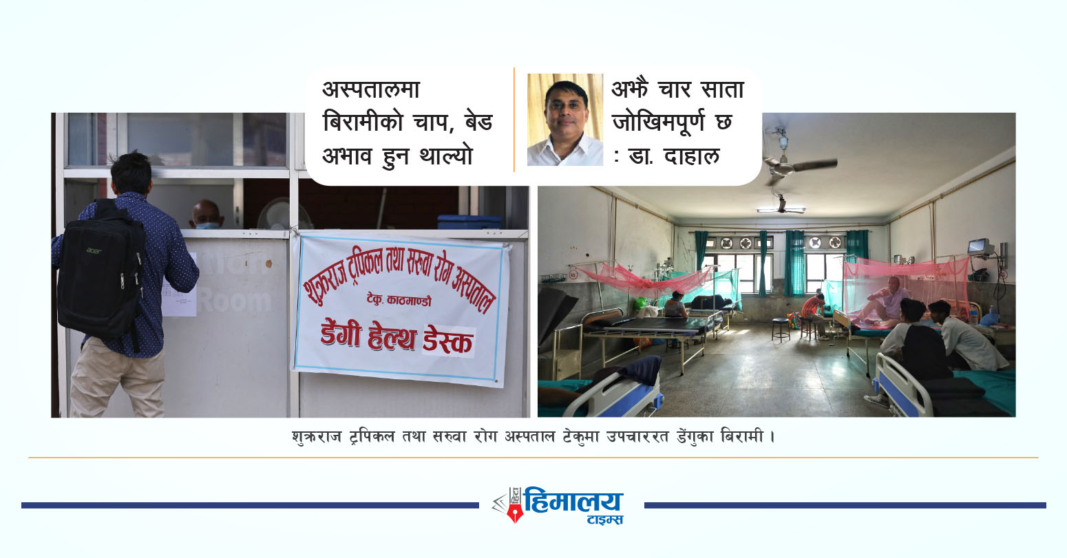 देशका ७६ जिल्लामा फैलियो डेंगु, दशैँमा झन् जोखिम बढ्ने