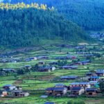 ढोरपाटनको नवी गाउँमा जग्गा चक्लाबन्दी गरि स्याउ खेती