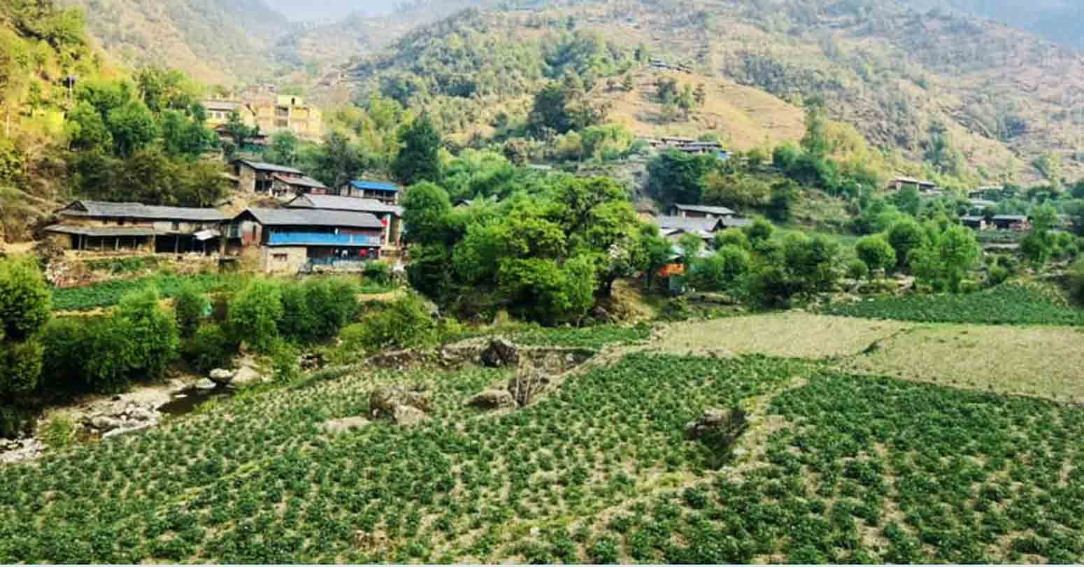 aalu kheti baglung