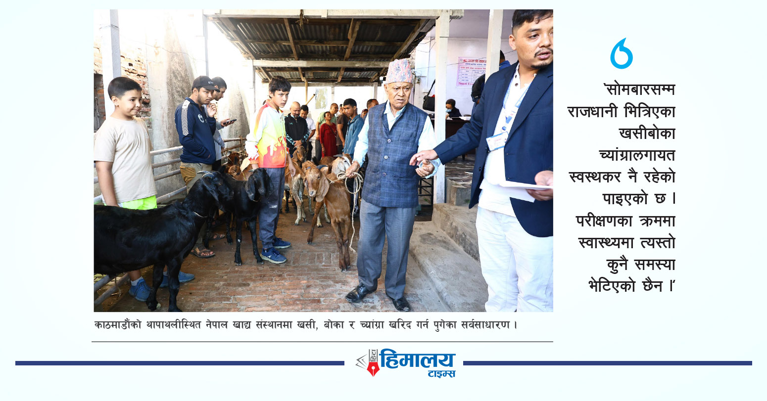 खाद्यले बेच्यो दुई दिनमै तीन सय बढी खसीबोका