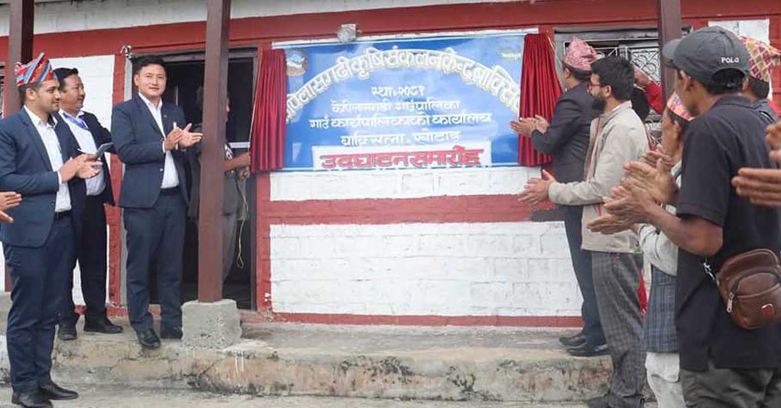 केपिलासगढीमा कृषि संकलन केन्द