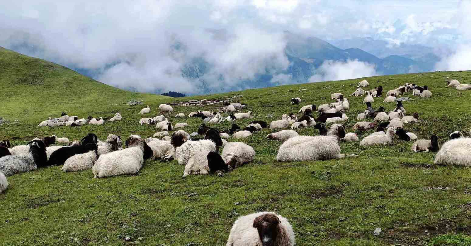 मुगालीहरुको…