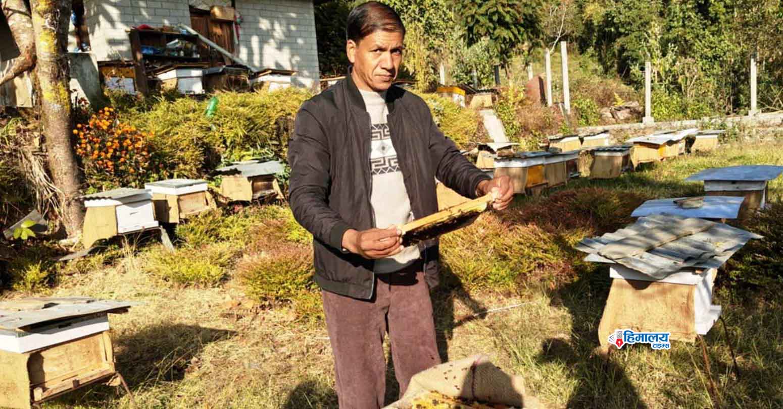 रवि लामिछानेको गृहमन्त्रीदेखि हिरासतसम्मको यात्रा
